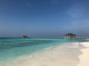 马尔代夫鲁滨逊努努岛攻略探索海岛秘境的最佳指南