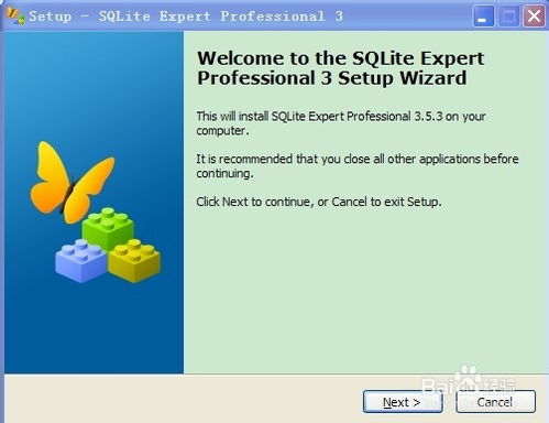 sqlite expert professional