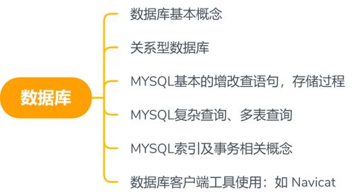 软件测试一般需要学什么内容的,软件测试需要学什么