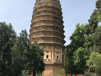 嵩山嵩岳寺塔攻略,嵩山嵩岳寺塔门票 游玩攻略 地址 图片 门票价格 