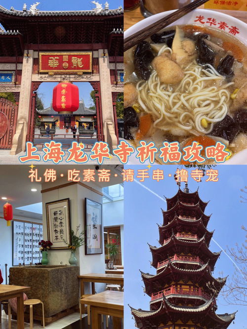 一定要来上海求事业最灵验的寺院撸狗吃素面 