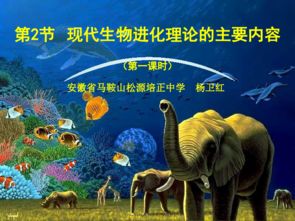 生物生存的环境