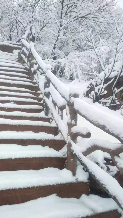 2020年第一场雪,它来了 接下来还有...