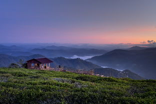 天气预报 四姑娘山