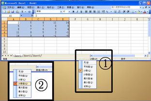 怎么让excel自动计数,掌握技巧，让Excel自动计数不再是难题！