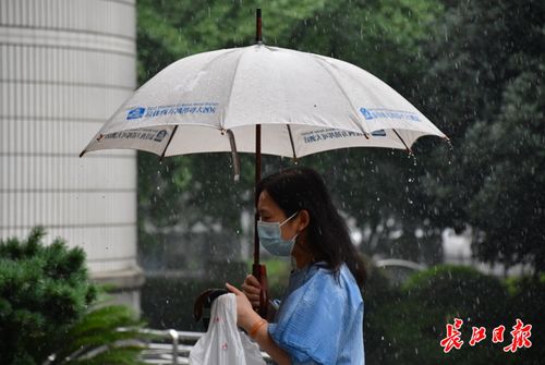武汉街头下雨了,你带伞了吗