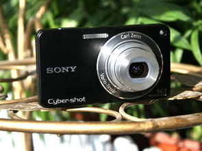 索尼w350,索尼W350数码相机的功能介绍-第2张图片