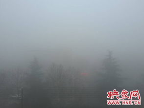 河南十六地发大雾预警 部分地区能见度小于200米 