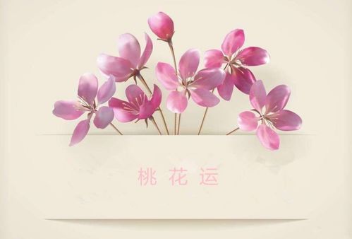 什么样的眼睛容易惹桃花