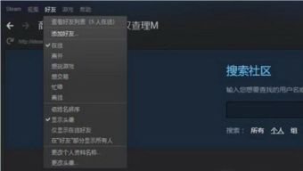 Steam怎么添加好友(steam好友)