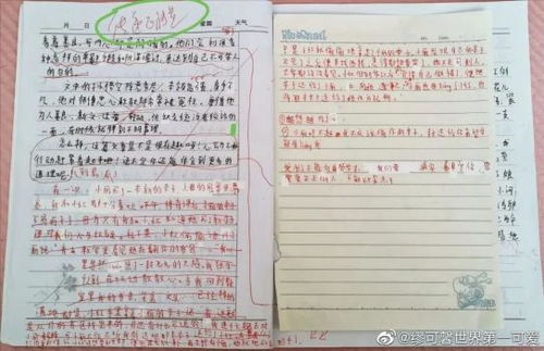 通报 小学生作文课后坠亡,涉事教师被处分