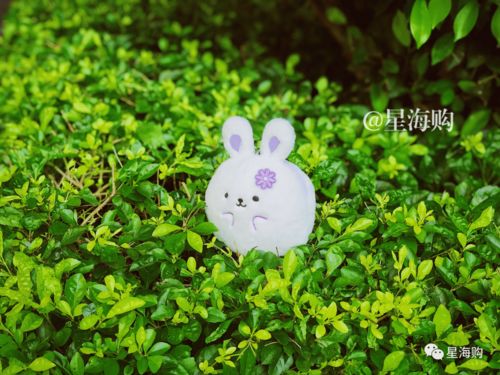关于中秋节的兔子的诗句