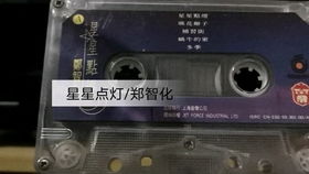 1993年郑智化综艺大观歌曲 星星点灯 片段