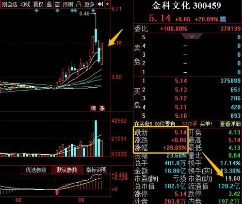 收评：缩量反弹，后市如何？