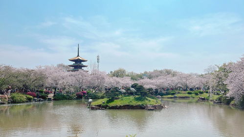 旅游方式分享 武汉东湖应该怎么玩 