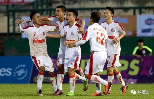 Giải vô địch trẻ Việt Nam U21,Giới thiệu về Giải vô địch trẻ Việt Nam U21