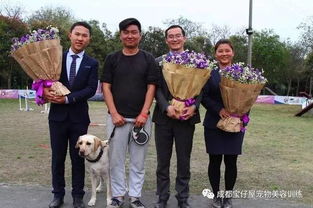 训犬毕业论文