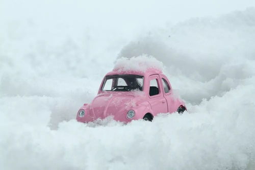 摄影干货 今年冬天把雪景拍出 大片感 必学的7个摄影技巧
