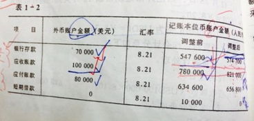 外汇账及汇兑损益的如何处理的会计分录