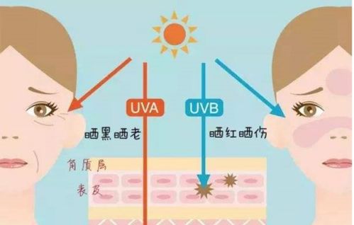 请问防晒霜上写的UVA UVB是什么意思 