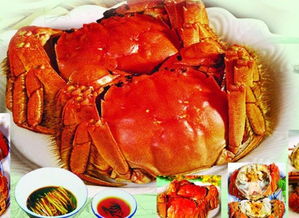 阳澄湖大闸蟹：美食界的璀璨明珠