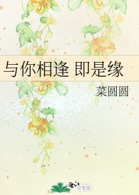 与你相逢 即是缘 菜圆圆 