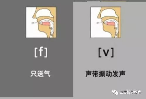 音标发音口型部位图 搞吗二七