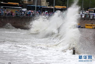台风 灿鸿 影响山东 沿海地区出现大风和降雨天气 