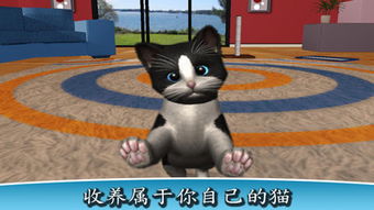 虚拟宠物猫游戏下载 虚拟宠物猫安卓版