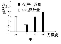 如图中不同的符号.代表不同的形状.结构和功能的细胞.图中表示细胞分化的是 A.过程①B.过程②C.过程③D.都不是 题目和参考答案 青夏教育精英家教网 