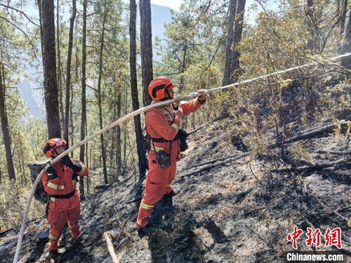 四川九龙县雪洼龙镇雷击引发的森林火灾全部扑灭