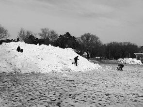 南湖雪雕被清除 游人站雪堆玩容易被陷很危险 