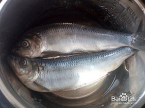 青鱼的做法,青鱼是一种营养丰富的鱼类，