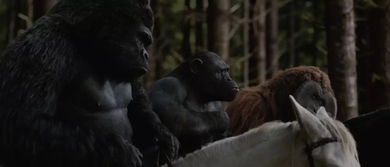 猿人崛起电影3,猿人的崛起:终极之战震撼登场!