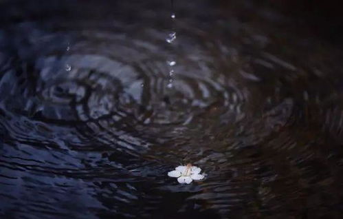 下雨天,随处都是景,怎么拍出意境