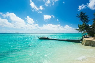 马尔代夫群岛中的阿雅达岛一个令人惊叹的热带天堂