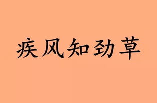 操的词语解释是-自己做了坏事污蔑好人的成语？