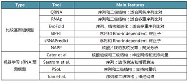 不可不知的原核生物sRNA研究软件简史 