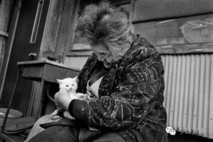 日本老奶奶收养了一只耳聋流浪猫,彼此相互陪伴12年,读到最后潸然泪下