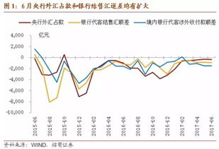 我国央行如何调节外汇市场?