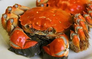 徐州︱吃螃蟹的季节到了,这样的吃法等于自杀