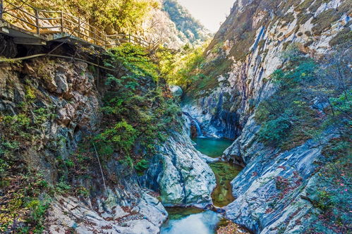 追梦谷,求：驻马店自驾到洛阳栾川（ 老君山追梦谷）路线和具体上山路线-第3张图片