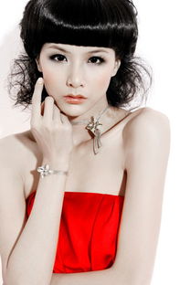 十大顶级名模助阵2009中国模特之星大赛 