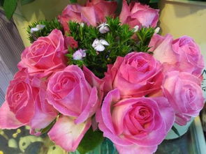 粉色雪山玫瑰花语,粉色雪山玫瑰是一种美丽的花卉，它的花语是纯洁、高贵和优雅