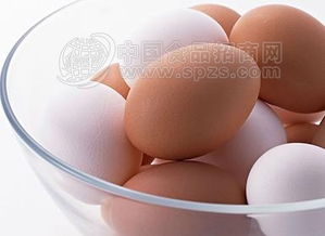 鸡蛋和牛奶可以一起吃吗(牛奶和鸡蛋可以同吃吗)