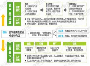 扶贫在路上 案例分析五大电商平台的农村扶贫模式