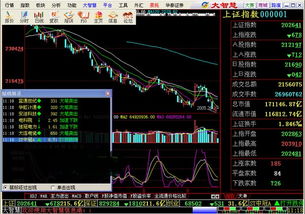 大智慧西部证券股份有限公司委托程序在哪下载