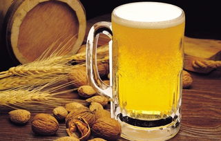 1斤啤酒加多少水浇花 啤酒发酵几天能浇花