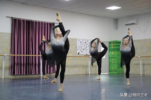 舞蹈艺考培训北京舞蹈艺考培训,舞蹈艺考生，想去北京找专业的培训班，选择桔子树艺术培训机构怎么样？