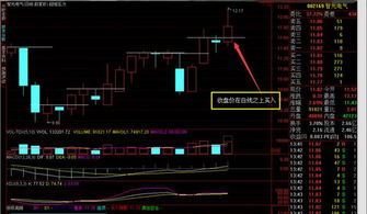 炒股最忌讳什么..？有没有什么经验和方法把握股票的涨停？